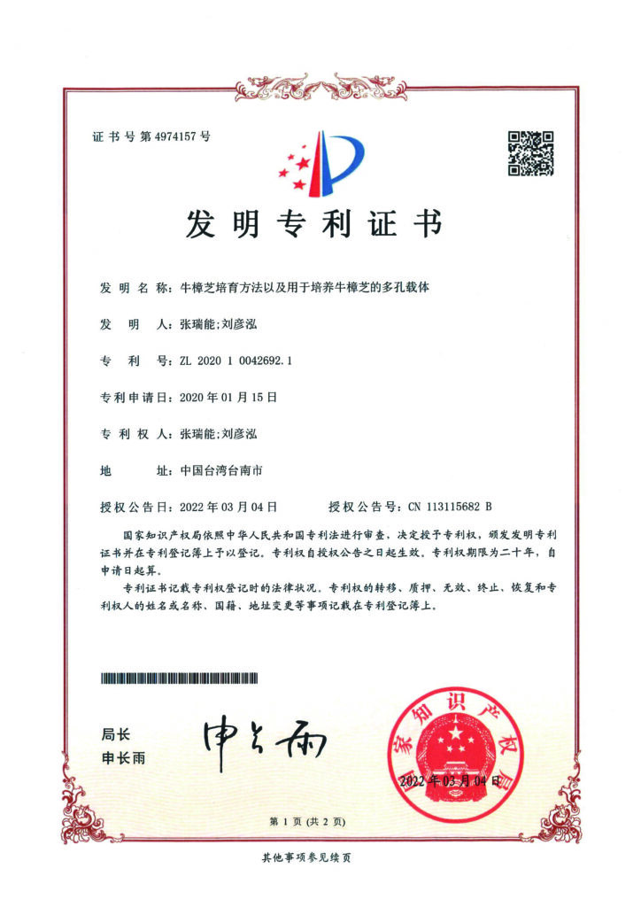 中國發明專利